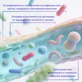 Bactology  Femin - пробиотик за жени