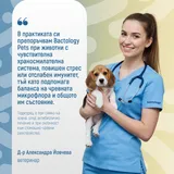 Bactology Pets - пробиотик за кучета, котки и други домашни любимци