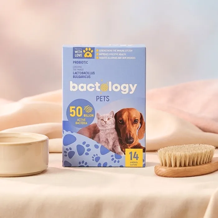Bactology Pets - пробиотик за кучета, котки и други домашни любимци